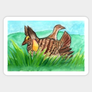 Prairie-chicken Grouse Sticker